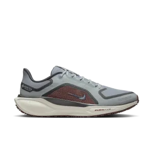 Men's Air Zoom Pegasus 41 GORE-TEX (003 - Light Pumice/Ashen Slate-Burgundy Crush)