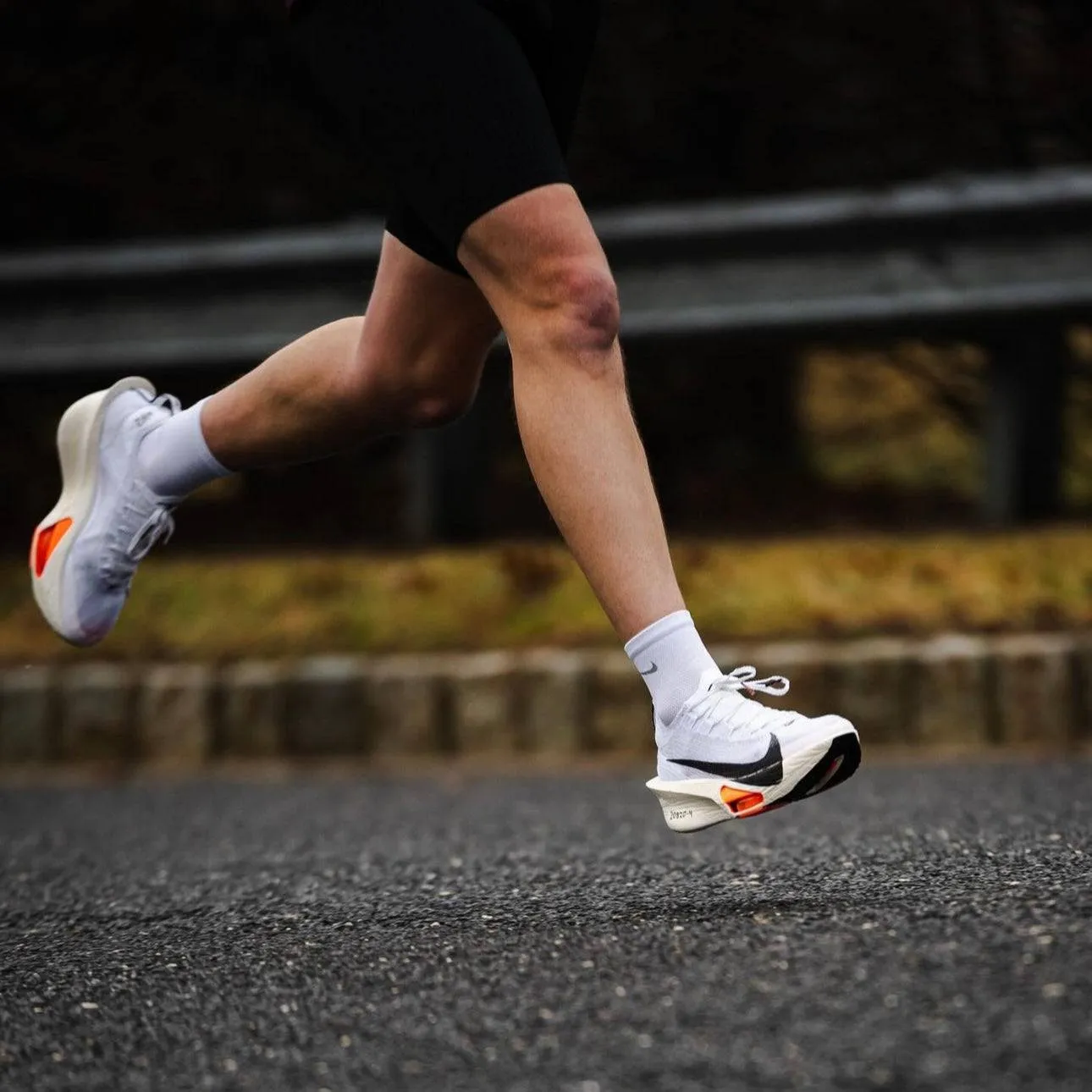 Nike Zoom Alphafly Next% 3
Prototype